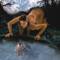 20080221134831-lob.jpg