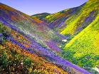 20090421134314-images.jpg